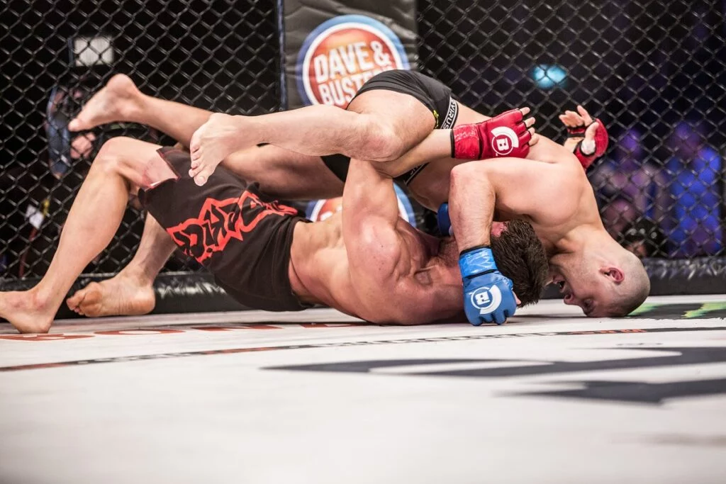 ADIDAS Sales Shop -ADIDAS Sales Shop Why Do Humans Love to Fight 1024x683 1