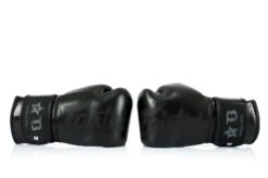 Fairtex Boxing Gloves Booster Series - Black -ADIDAS Sales Shop fairtex booster black on black4