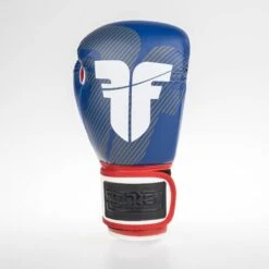 Fighter Boxing Gloves SPEED - Tricolor, TH1612PUBLR -ADIDAS Sales Shop fighter 2020 158